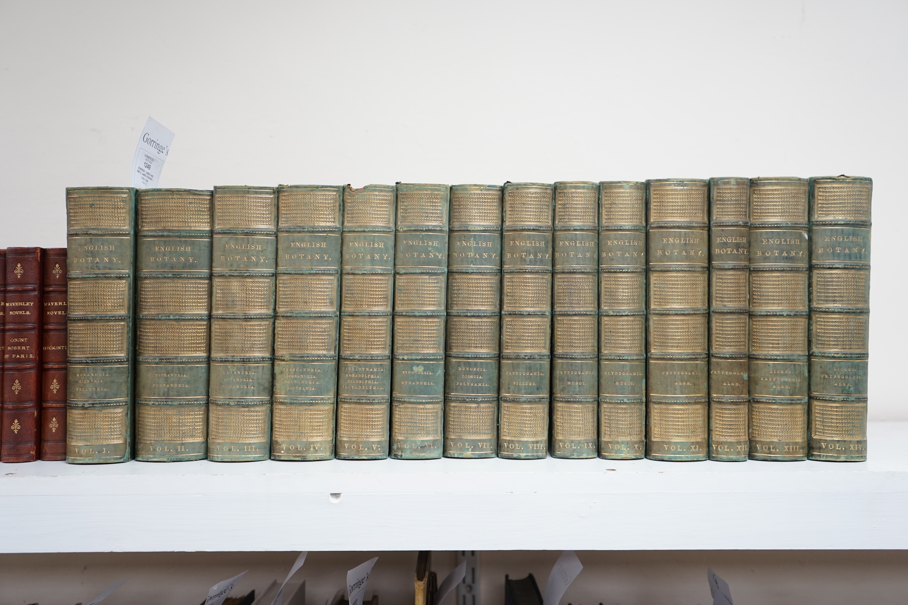 Sowerby, James and Smith, James Edward - English Botany, or, Coloured Figures of British Plants ..., 14 vols, with approximately 2,544 hand coloured plates, all randomly bound in, J. Davis, London, 1794-1802, 1804 and 18
